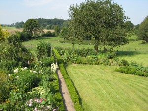 Garten mit Kirschbaum